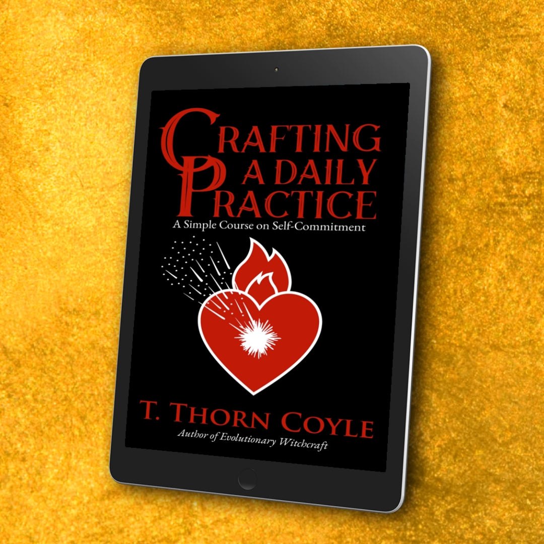 Crafting a Daily Practice Ebook